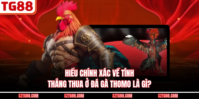 Hiểu chính xác về tính thắng thua ở đá gà Thomo là gì?