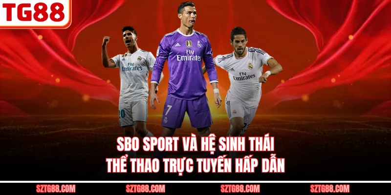 SBO Sport Và Hệ Sinh Thái Thể Thao Trực Tuyến Hấp Dẫn
